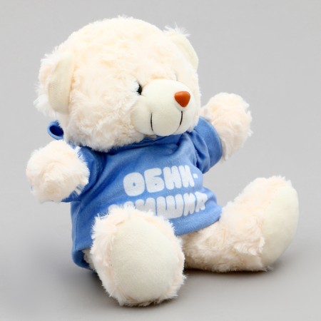 Soft toy Bear "hugs" in a jacket-1
