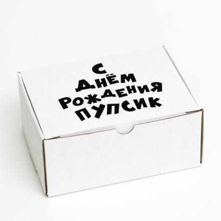 Self -assembly box "Happy Birthday, Pupsik", 22 x 16.5 x 10 cm