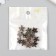 Decor for creativity Plastic "Flower-Pilist Line Lake" Crystal 1.4x1.4 cm