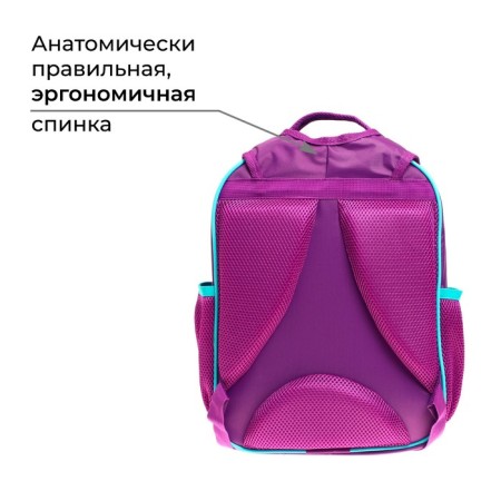 School backpack, 37 x 27 x 16 cm, ergonomic back, calligrata b "Paris"-2
