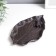 Souvenir cast iron stand "Frog on the sheet" 1x19x11 cm
