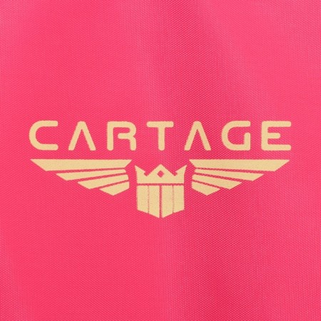 Thermal drum Cartage T-23, pink, 18 l, 35x21x24 cm-4