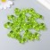 Decor for creativity Plastic "Bear" Green set 25 pcs 1.8x1.5x1 cm