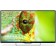 TV POLARLINE 43PL51STC-SM, 43 ", 1920x1080, DVB-T2/C, 3XHDMI, 2XUSB, Smarttv, black 718171