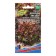 Salad Salad "Red Star", 0.25 g