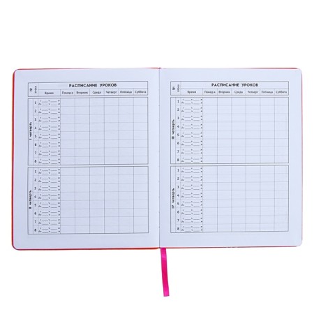 Universal Diary Grade 1-11, 48 sheets "Orange", solid cover of artificial leather, foil embossing-13