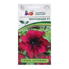 Fernando's flowers 