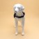Shleka K7 soft reflective, size XL, OG 74-92 cm, weight 28-47.5 kg, leopard