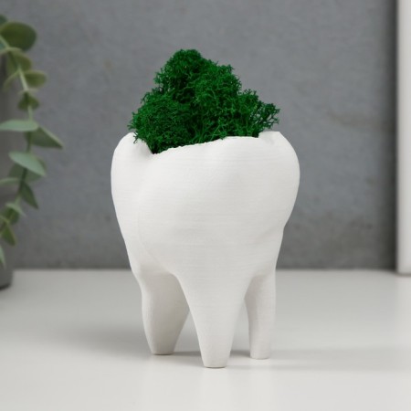 Concrete Kashpo "tooth" with moss white 7.5x6.5x9.5 cm (moss green stabilized)-2