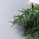Bouquet "Fern Decorative Galant" 31 cm, mix