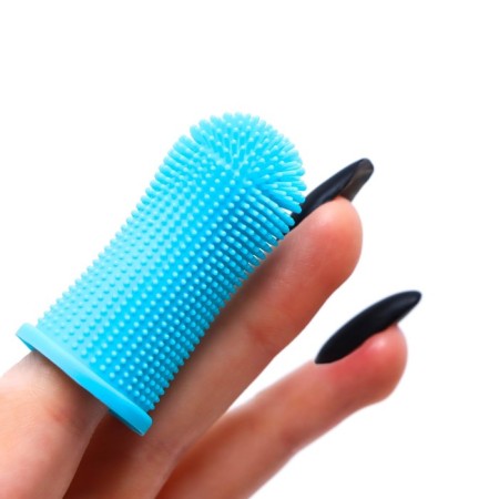 Brush for brushing animal teeth, 5.5 x 2.5 cm, blue, container 7 x 4 cm-1
