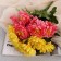 Bouquet "Herbera Large Galant" 8x30 cm, mix