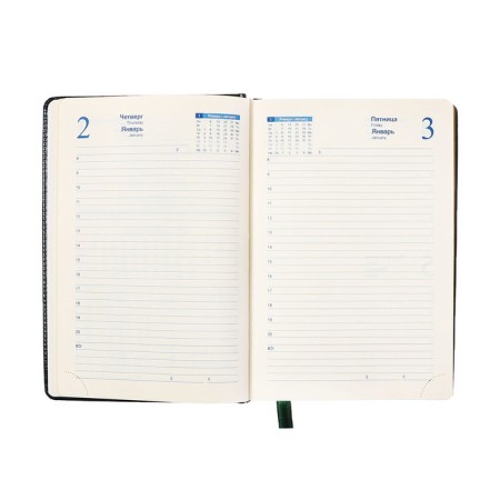 Dated diary of 2025, A5, 168 sheets in the ruler, leatherette "Nebraska", gold cut, green-11