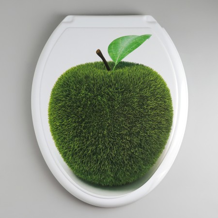 The toilet seat with the Rossplast lid "Decor. Apple ", 44.5 × 37 cm, white color