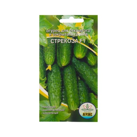 Seeds of cucumber "Dragonfly", 10 pcs