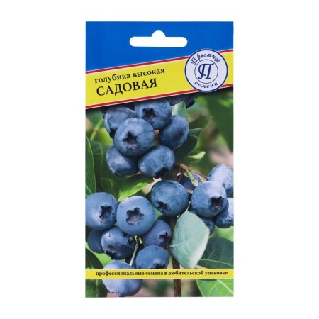 Blue Blueberry "Sadovaya", 0.05 gr