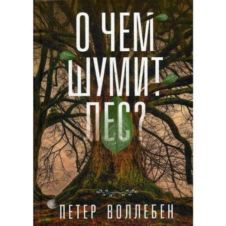 What does the forest make noise about? Volleben P.