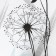 Bed linen "Ethel" Duet Dandelion (View 1) 143*215 cm - 2 pcs, 220*240 cm, 70*70 cm -2 pcs, Poplin