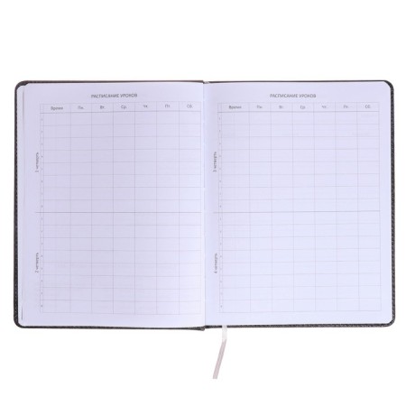 Universal diary for grade 1-11 JD Monster, hard cover, artificial leather, foam rubber, lies, 80 g/m2-4
