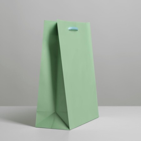 Gift package laminated, packaging, "green", MS 18 x 23 x 8 cm-2