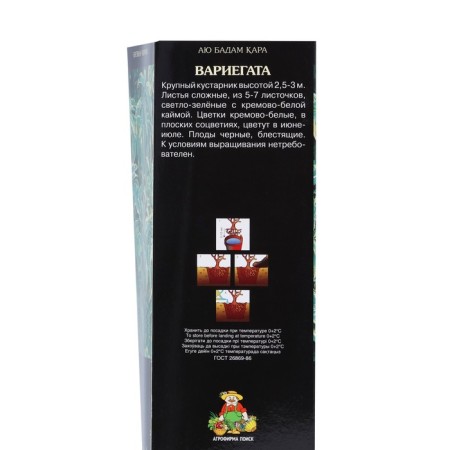 Black Black Lux "Varigata", 1 pc, tube, spring 2025-1