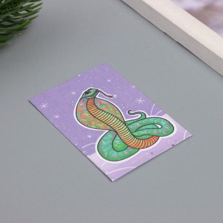 Postcard with seeds "grow itself" "snake" 5*7cm-1