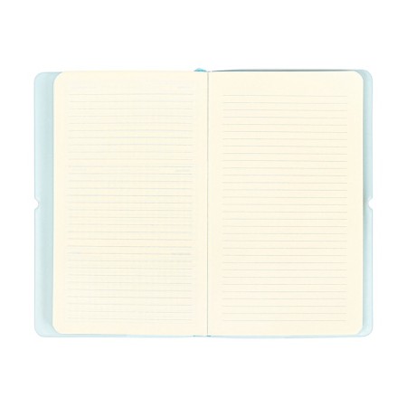PROVINARY NOT LEARNED, 80 sheets, 100x170 mm, Devente.Jane, soft cover of PVC, elastic band, perforation, liesse, block 70%, blue-12