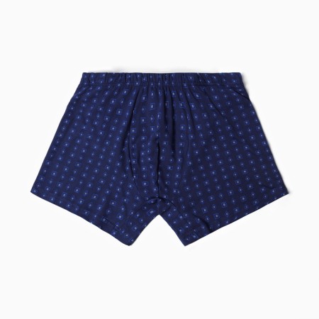 Panties men's boxers, blue color, size 48-5