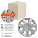 Wheel caps 16 "Airline" Joy, silver, carbon, in a set 2 pieces