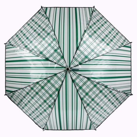Umbrella - a semiautomatic “cage” cane, 8 spokes, r = 54 cm, the color is transparent/emerald-4