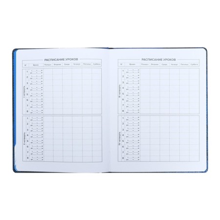School diary for grades 1-11 "sneakers", firm covering with artificial leather foam, metal cutters, 48 ​​sheets, an offset block 80g/m2, universal cheat sheet-6