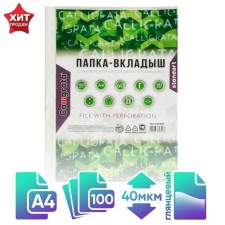 A4, 40 microns, calligrata, glossy, vertical, 100 pieces