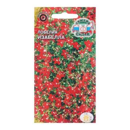 Lobelia flowers "Isabella", Euro, 0.03 g