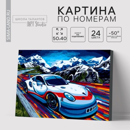 Picture on numbers on a canvas with a subframe "Sportser", 40 x 50 cm