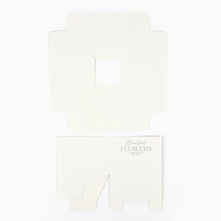 Box Gift folding carrion for colors, packaging, "Cleanliness", 20 x 20 x 4 cm-6