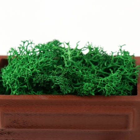 Kashpo concrete mini "Retro radio" with moss light brown 8x4x4.5cm (moss green stabil.)-5
