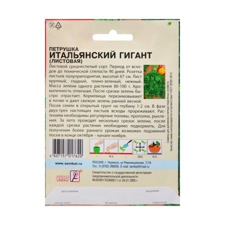 Seeds xxxl parsley "Italian giant", 20 g-1