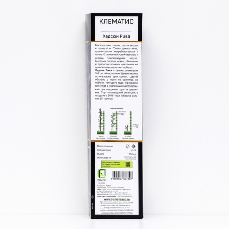 Clematis botanical suite (for cutting) "Hudson Rive", 1 pc, tube, spring 2024-1