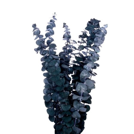 Sukhotzet "eucalyptus tree", blue, 10 pcs. packaged-3