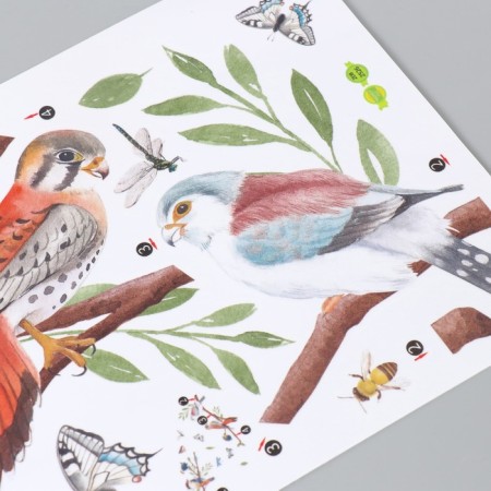 Sticking plastic interior color "Birds on branches" 20x30 cm-2
