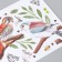Sticking plastic interior color "Birds on branches" 20x30 cm
