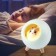 Children's nightlight-lamp NLED-468-1W-GR hamster Green