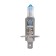Car lamp Xenite H1 (P14.5S) +100%, 2 pcs