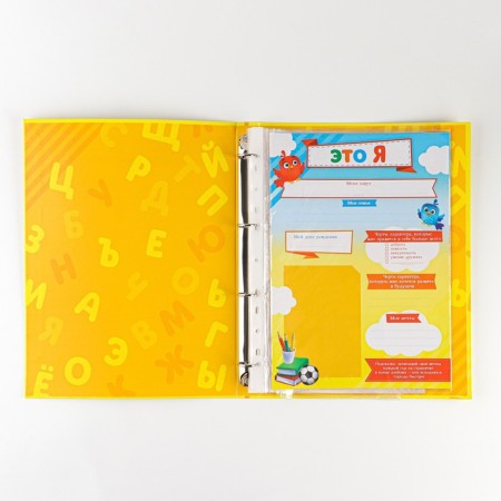 School folder on the rings "Portfolio of a preschooler", 14 sheets-undergraduate, 24.5 x 32 cm.-3
