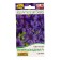 Petunia Supercam West F1 Blue, 10 pcs