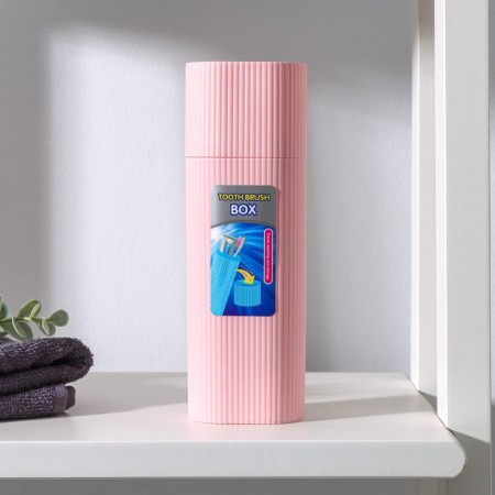 Case for toothbrush and pasta, 19.5 × 6.5 × 4.5 cm, color mix-2