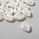 Plastic beads "shells", set 50 pcs., 1.5 × 1.2 × 0.5 cm, white color