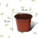 Pot for seedlings, 1.3 l, d = 14 cm, h = 12 cm, terracotta, Greengo