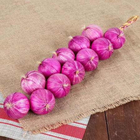 Flood "Link of onions" 12 bulbs, mix