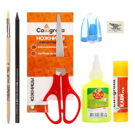 A4 labor folder, plastic, lightning around, folding bar, with a filling of 10 items, calligrata, PTR-1, "deer"-10